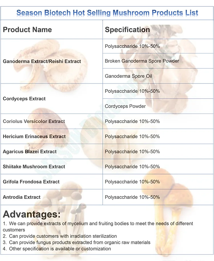 Coriolus Versicolor Extract Natural Turkey Tail Extract Make Turkey Tail Capsules