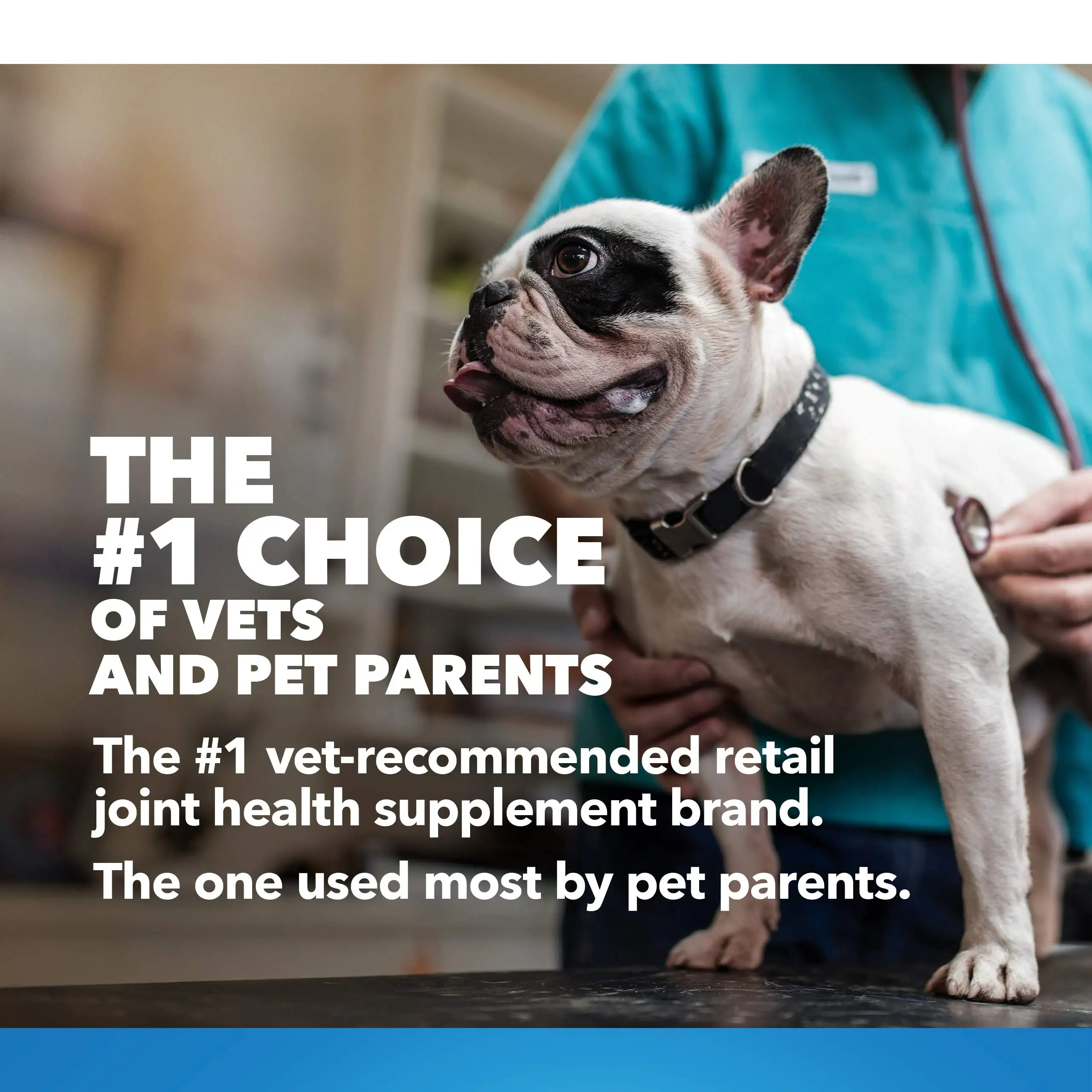 Dog Chewable Tablets Joint Health Supplement For Dogs