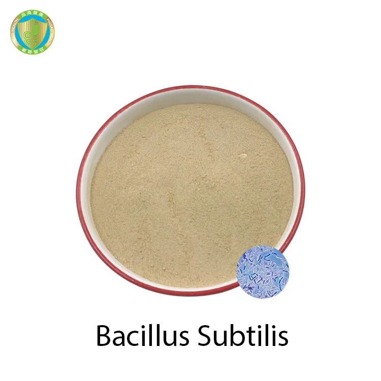 Оптовая продажа добавка для biofloc 10B CFU/g пробиотики Bacillus Subtilis лечения