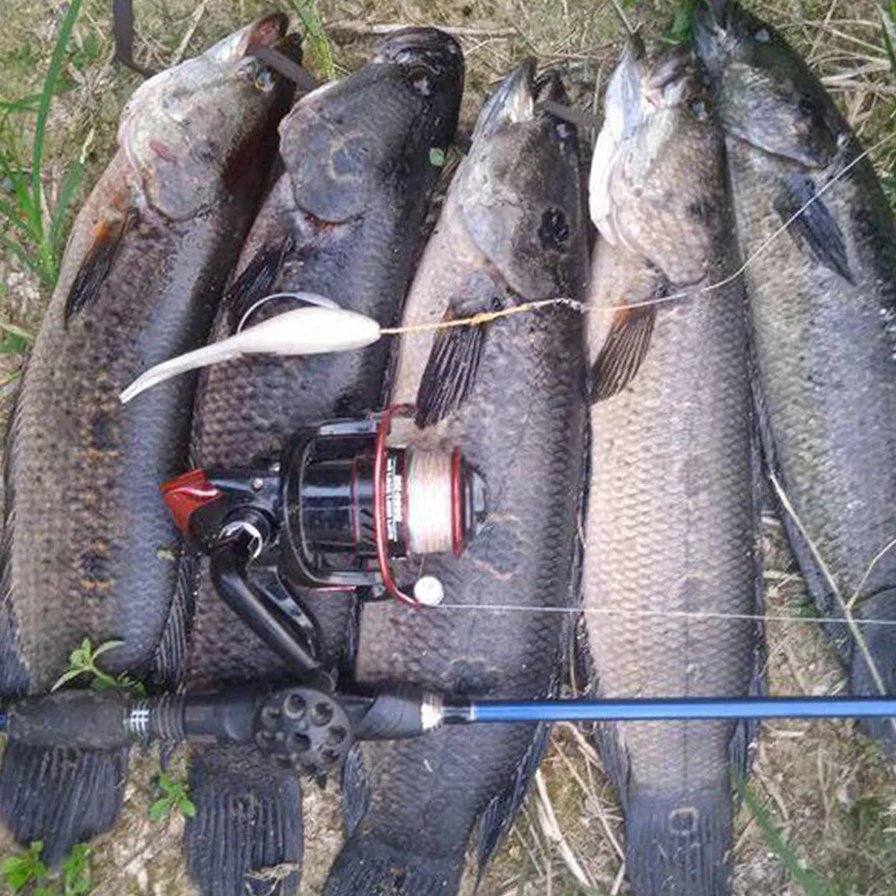 Top Right  S020 120mm 10g TPR Soft Plastic Fishing Lure Forktail Soft Swimbait Soft Swimbait Shad Bait Forkail Minnow