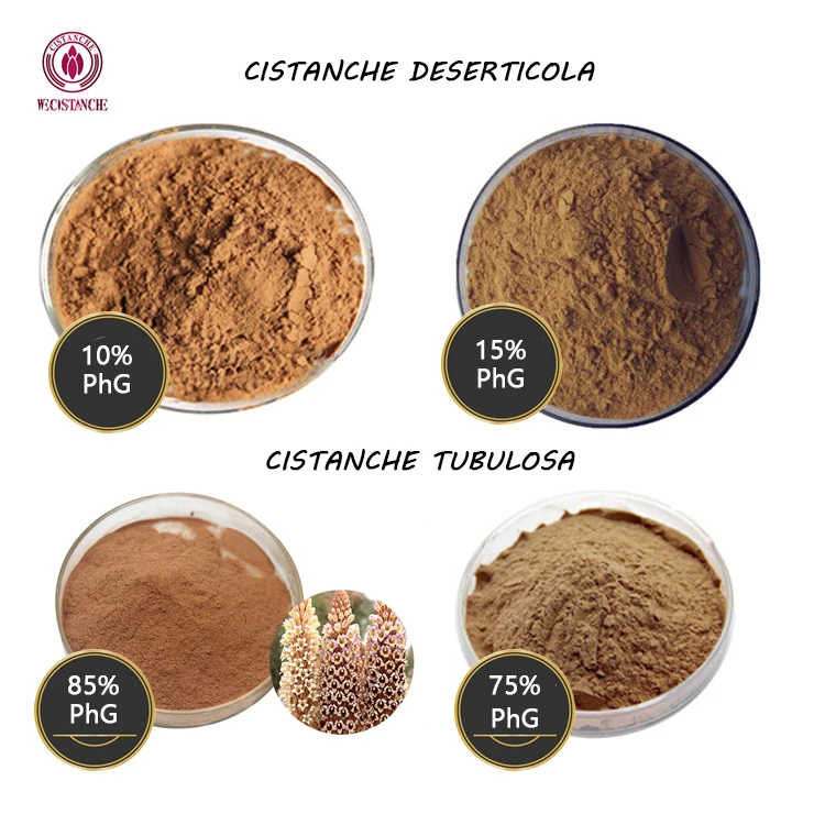 60 capsules /pack Anti-fatigue Cistanche Tubulosa Extract Tablets 30% Echinacoside 12% Acteoside Cistanche Extract