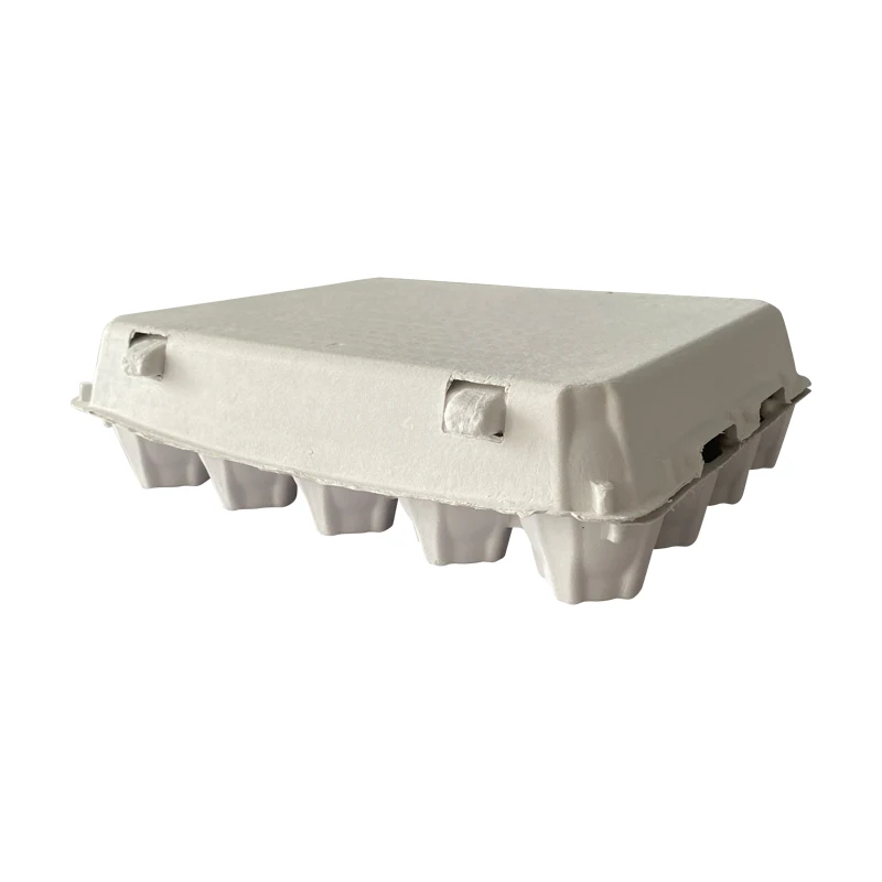 ZY Paper Egg Carton Chicken cell Pulp Fiber Carrier Tray Holder Bulk Hold 20 Count Eggs Farm Market Travel Egg Storage Container