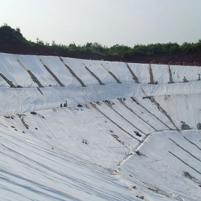 PET geo текстильный игла пробивая нетканые Geotextile ткань дренаж удобный 100 г Multifilament
