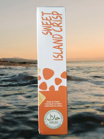 Nutrient Rich Healthy Ginger Coconut Crispy Cracker Biscuits Cookies