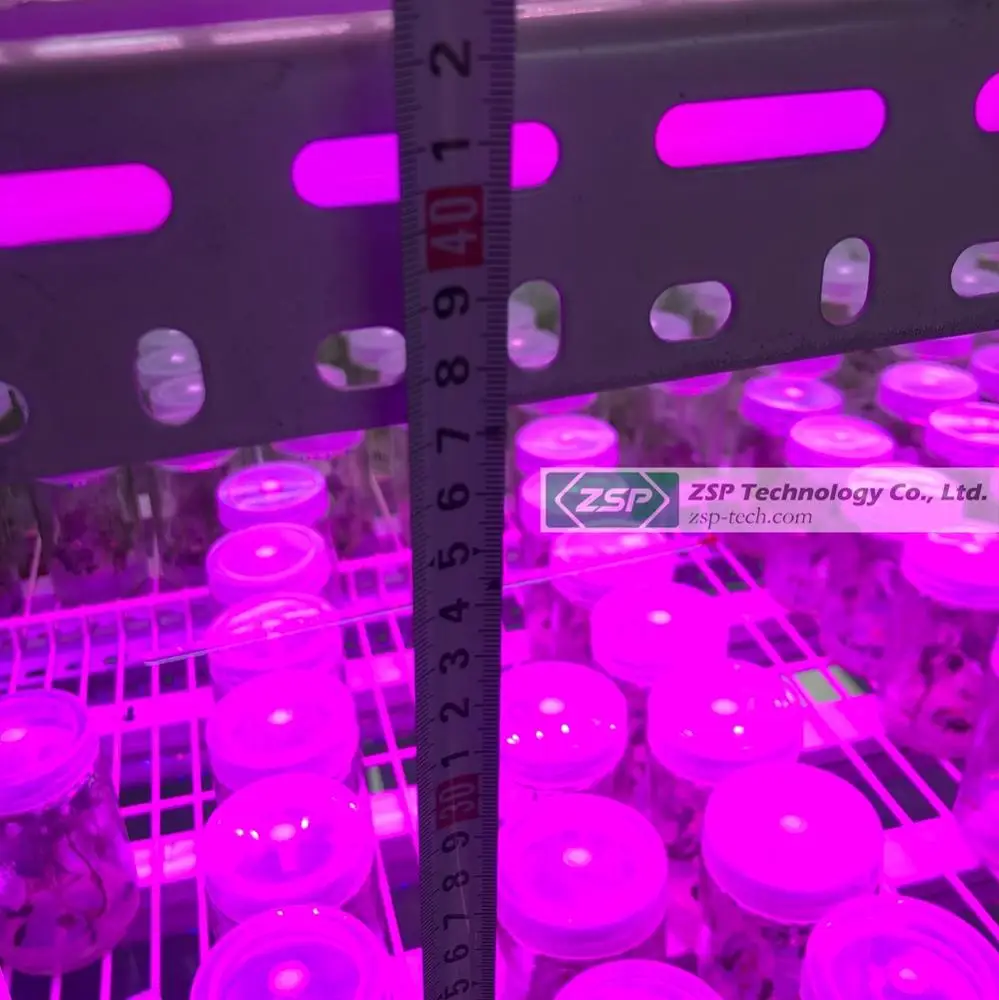 Factory sale plant strip bar for orchids tissue culture seedlings