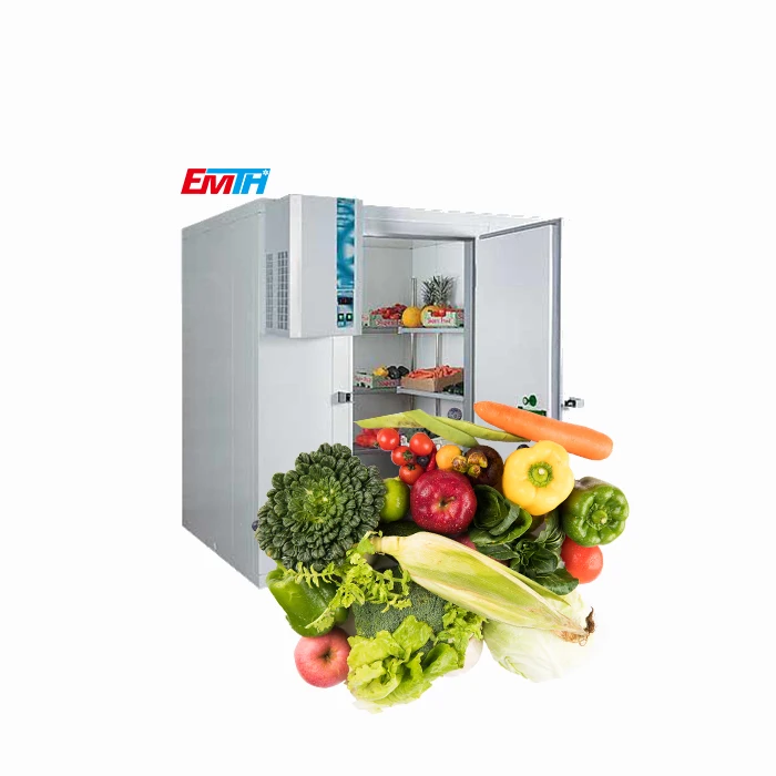 CHINA EMTH Supplier Cold Room refrigerator fan motor in storage food