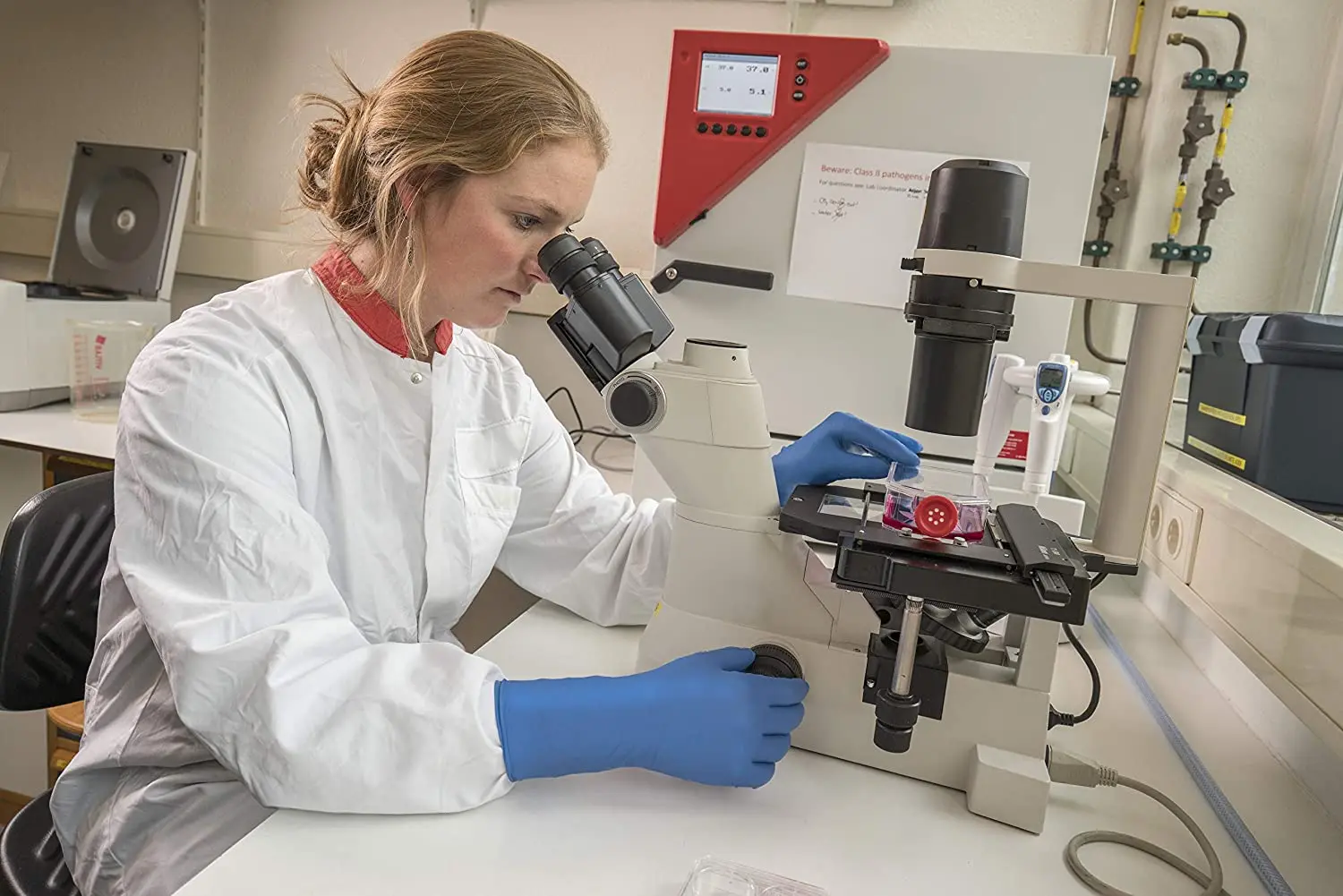 SG-375 Disposable Latex Gloves Medical / Exam Grade, Long Cuff, Thick Powder Free in Natural Rubber, Box of 50 Units