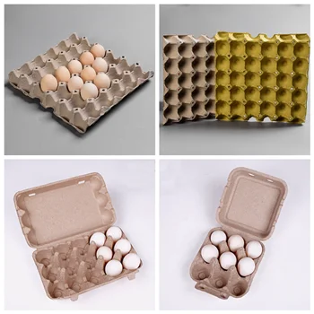 Автоматический ротационный лоток для яиц машина производства бумажных