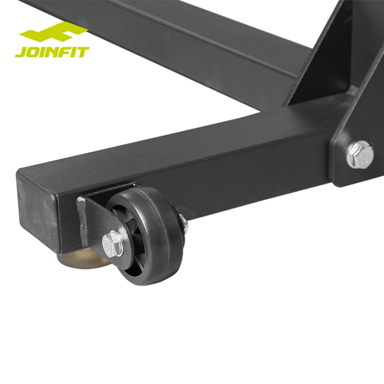 equipment adjustable roman chair