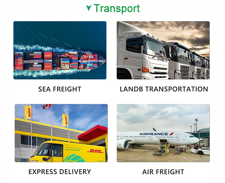 For Gut Health lactobacillus plantarum 600B Food Additives Manufacturers Probiot Lactobacillus Plantarum 200B CFU/g