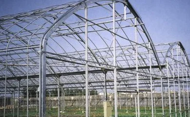 Factory direct price greenhouse frame Agricultural Multi Span Polycarbonate film Complete Set Greenhouse