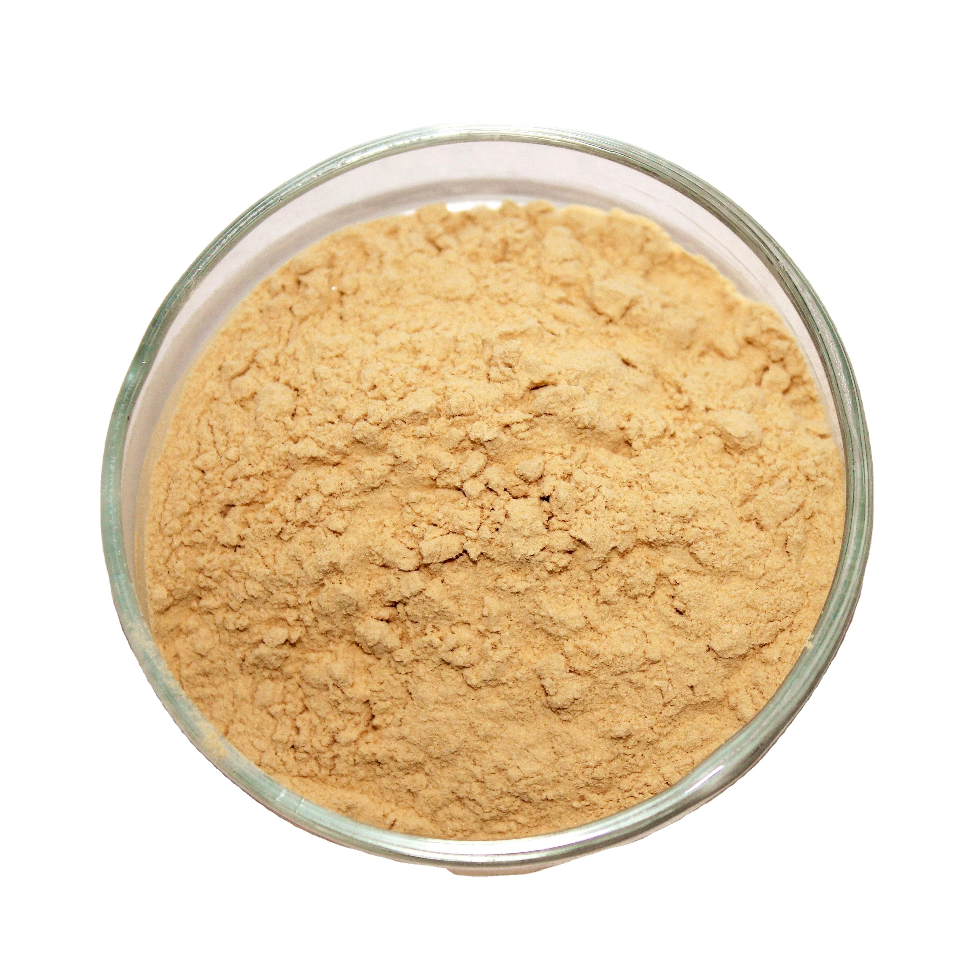 
Red Ginseng Root Extract Powder 