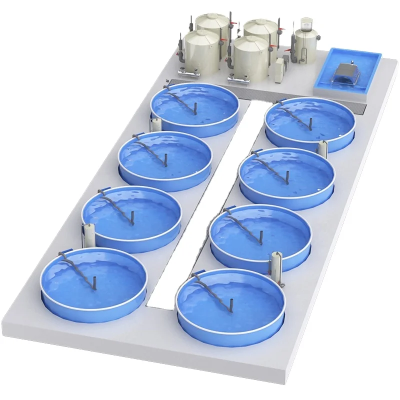 Industrial recirculating aquaculture systems saltwater ras system aquaculture equipment Indoor fish farm