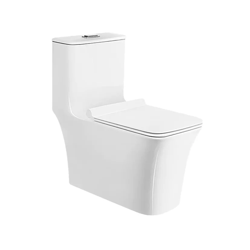 Medyag 2024 Elongated Ceramic Floor Mounted Toilet with Dual-Flush Siphon S-Trap One-Piece Structure for Bathroom