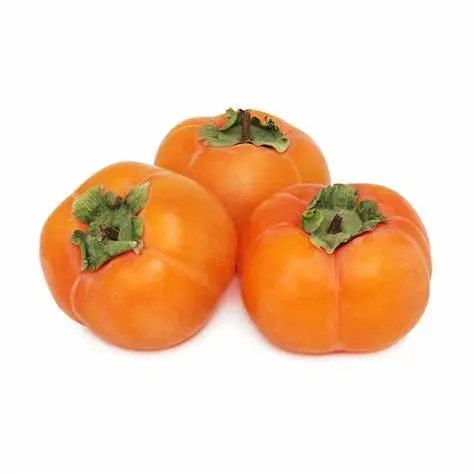 Fresh Persimmon Fruits for exports