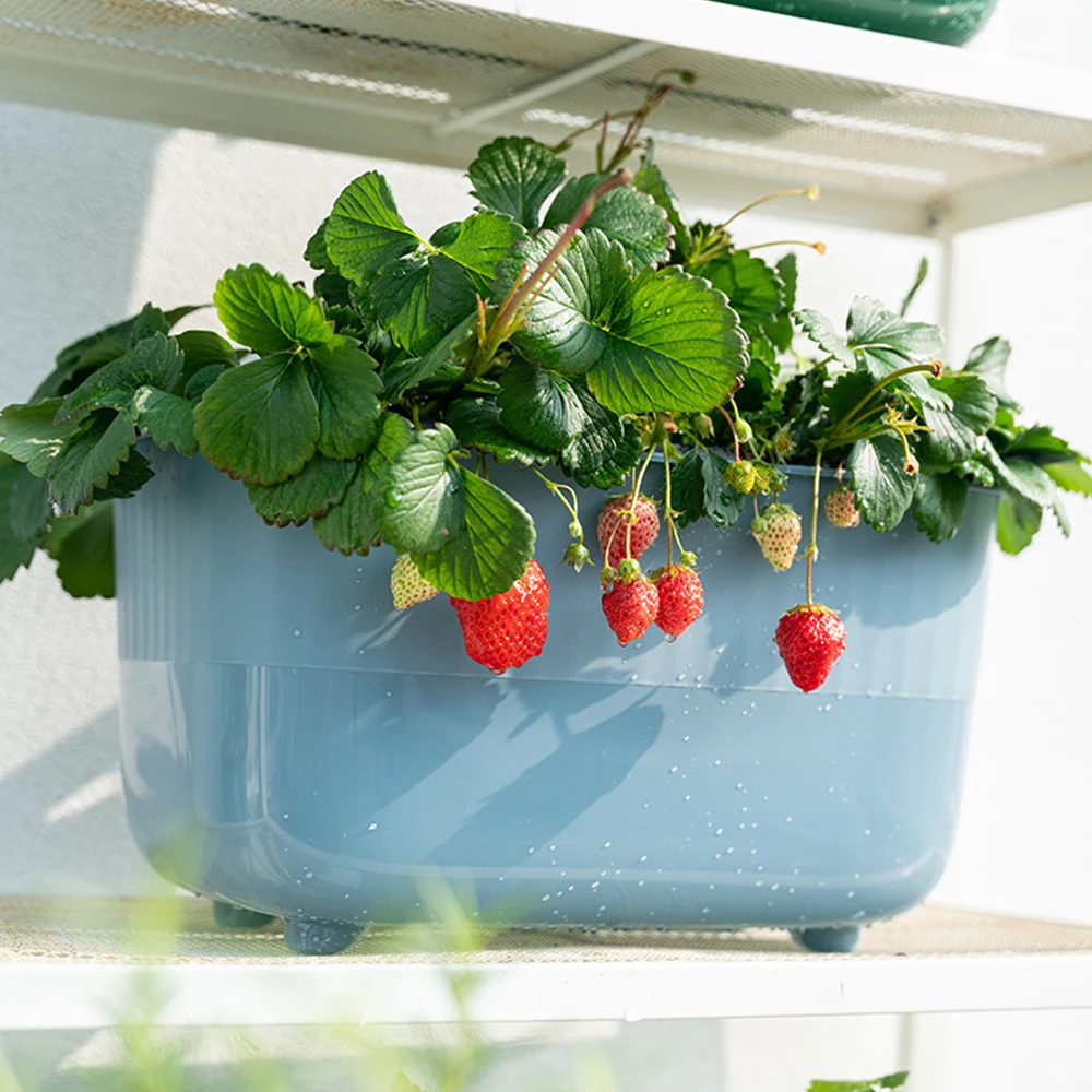 2022 Hot Selling Flower Pots Plastic Planters Plastic Flower Pots for Home and Garden