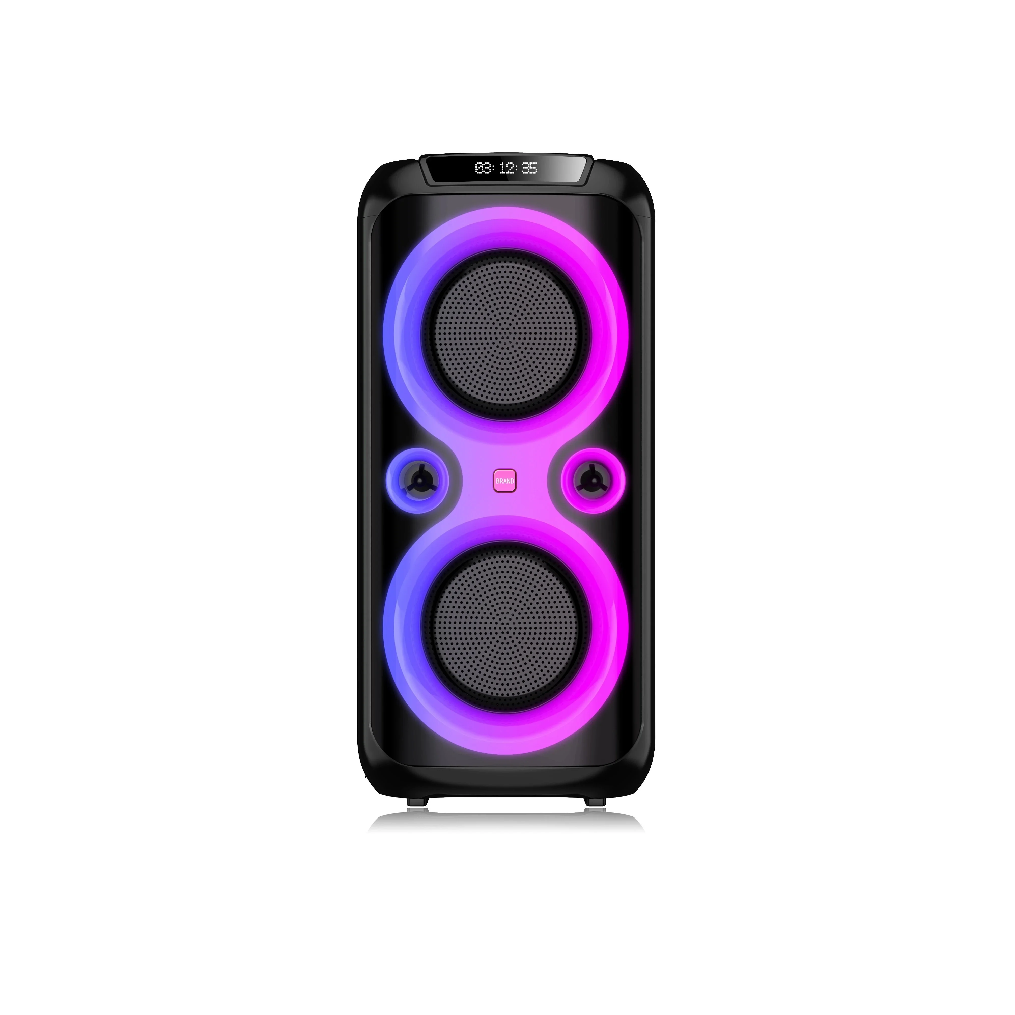 Temeisheng Tws Active PRO Audio Wireless PA DJ Rechargeable Professional Bluetooth Portable Type Party Speaker TMS-619