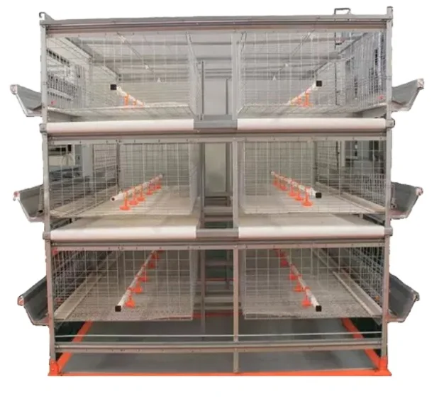 Multi layer automatic battery metal chicken farm equipment broiler rooster cage