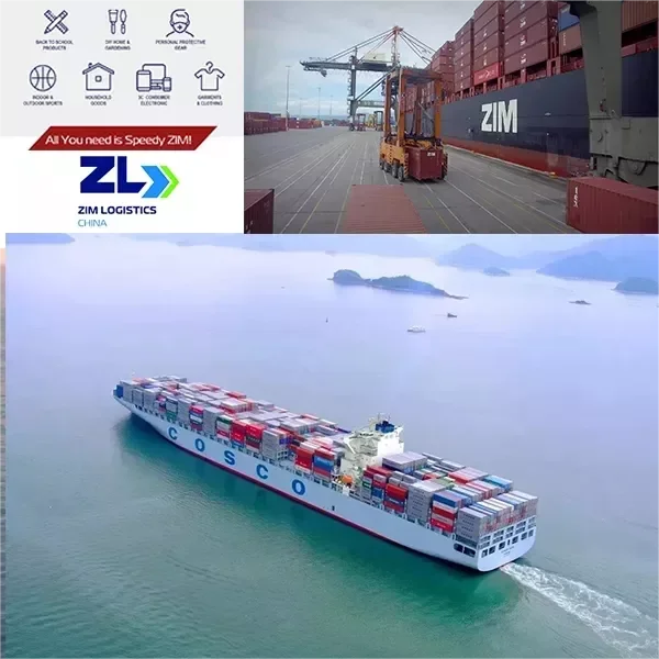 Amazon FBA by Sea Shipping 20FT 40FT Fresh Reefer Container Ocean Freight Forwarder Logistic DDP Service China To Canada UK USA