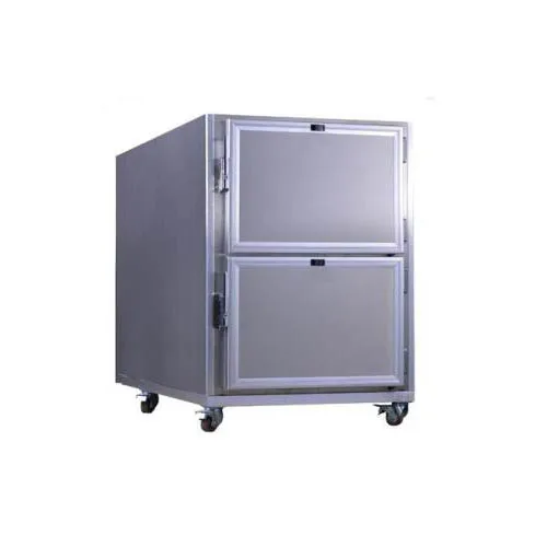 2 bodies mortuary corpse storage refrigerator freezer