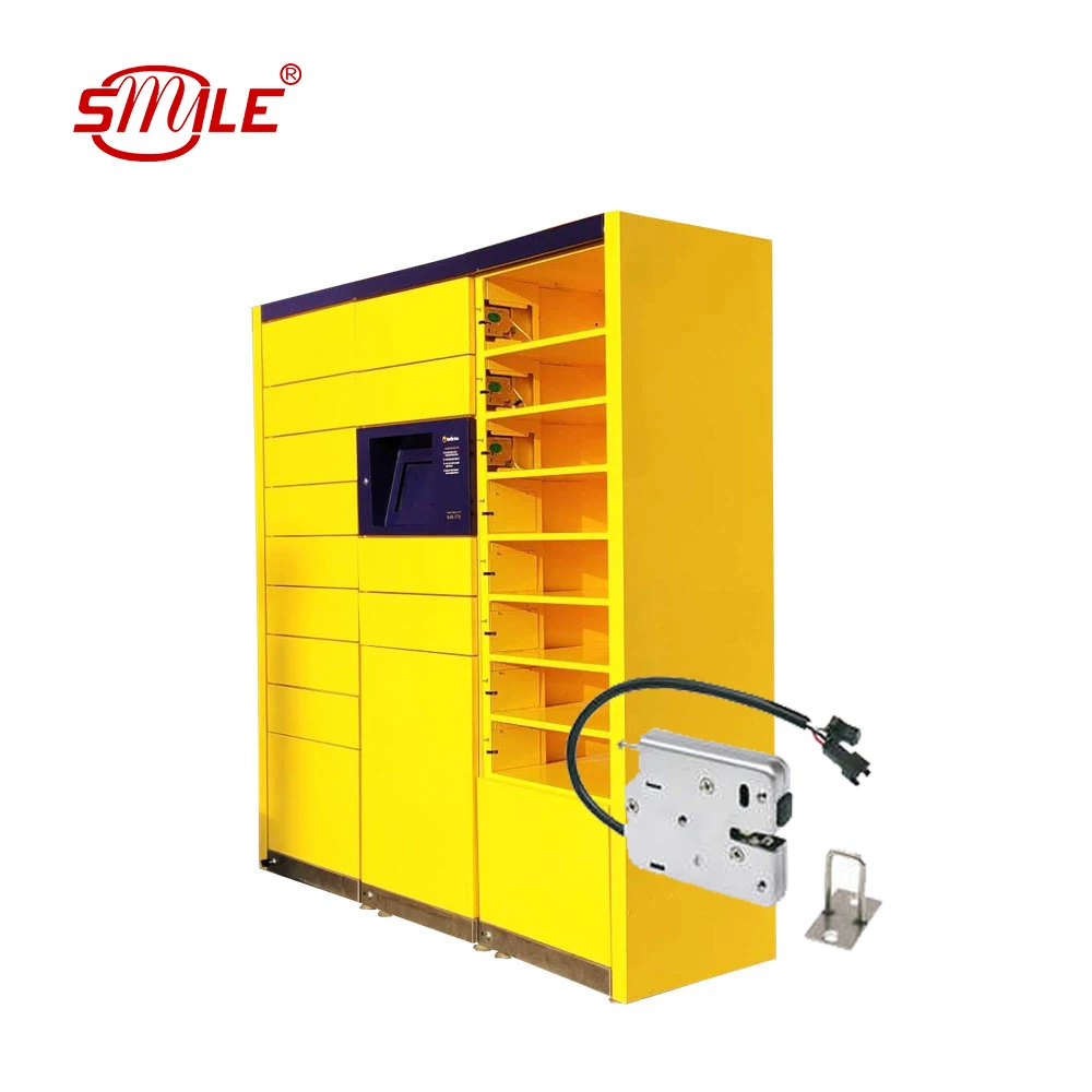 SMILETECH Smart Locker 22/36/48 door Direct Selling At A Reasonable Price Parcel Delivery Air Lockers Locker