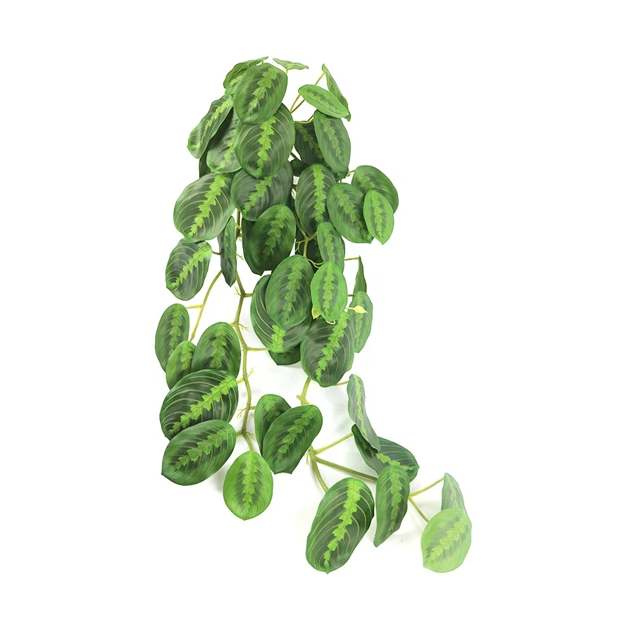 85cm long real touch green calathea leaves hanging plant for floriculture decoration