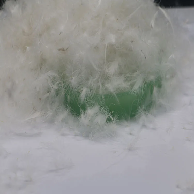 Дешевый 50% промытый гусиный пух, белый натуральный гусиный пух, заполняющее гусиное перо для одеяла