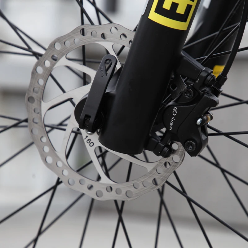 Customized 750w1000w fat tire customized dual battery electric bike electric mountain bike full suspension 52v e bikes