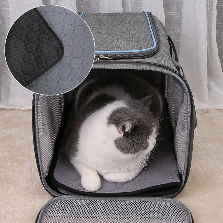 Multi Layer Quick Absorb Waterproof Reusable Washable Pee Training Pet Urine Pad Manufacturer