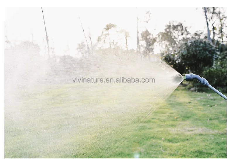 Garden Pump Action Pressure Water Sprayer with strap