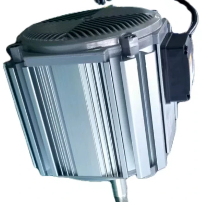 BLDC motor used for negative pressure fan  Permanent magnet