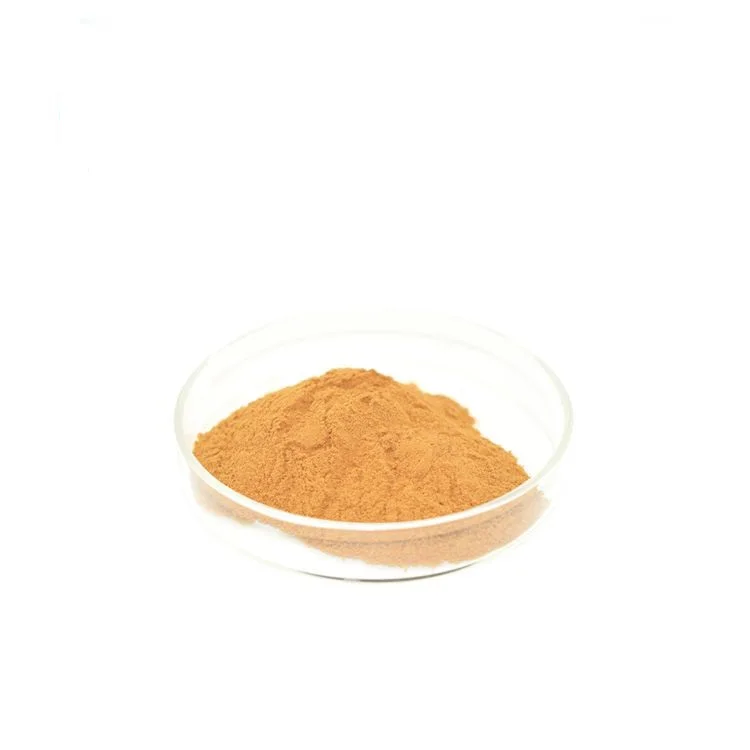 High Quality Mango Seed Extract Mangifera Indica l. 10:1 Mango Seed Extract