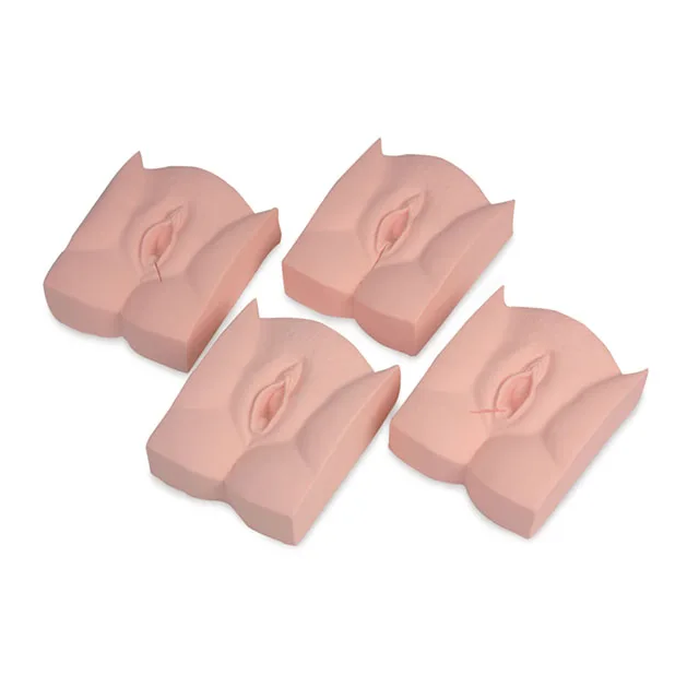 Medical Science Vulva Suturing Training Simulator, Perineum Cutting and Suturing Training Model