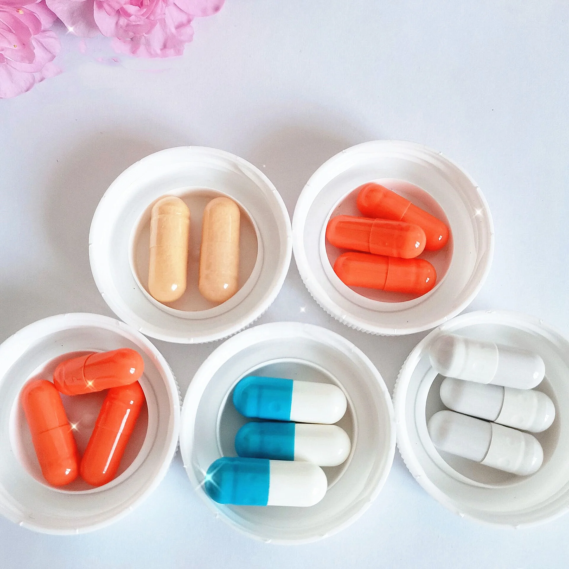 Private Label Nutrition Supplements Organic Milk Thistle Capsule In Herbal Supplement