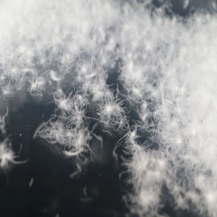 Новый белый гусиный пух 90/10 перо с высокой мощностью, фабричное производство