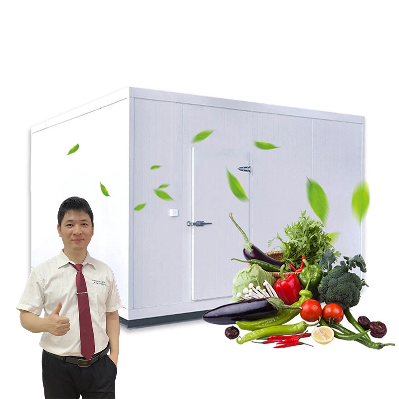 Green&Health Fruit Vegetable Use Sale Walk in Cooler Dairy Flowers Storage Cold Room