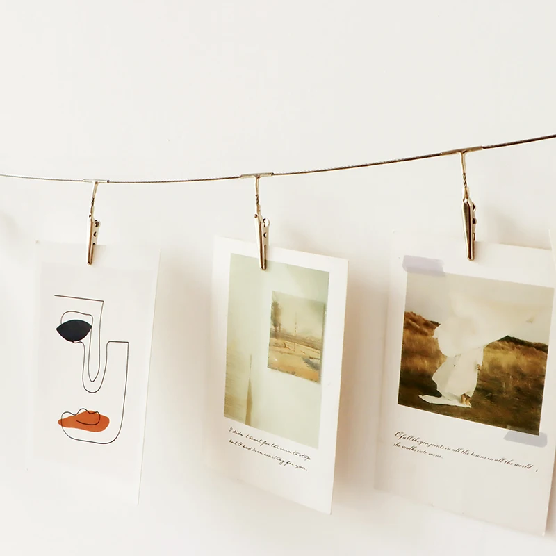 Multi-Purpose Steel Wall Hanging Photo Display Cable Wire Rod with 12 Adjustable Clips for Hanging Photos Notes Postcard