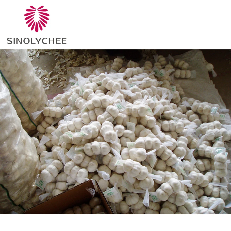 Chinese Wholesale Fresh Picked Organic Garlic Supplier