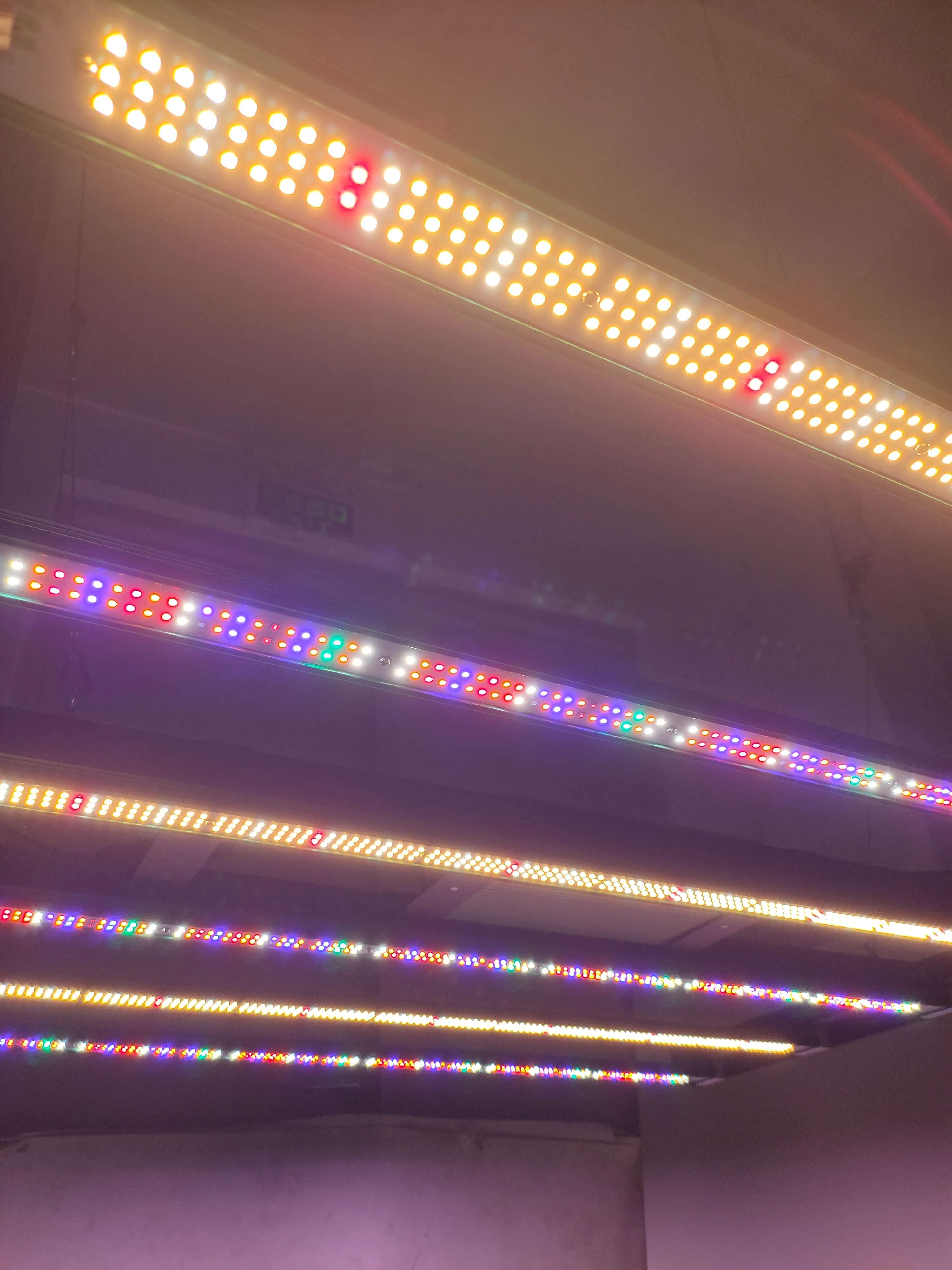 Led Grow Light UV IR Bar Led 100W Grow Light Led Bar Indoor Plant Grow Light