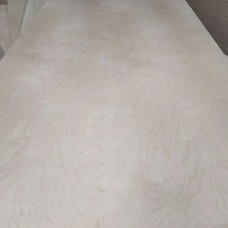 China Big Factory Good Price Wall Decoration Hospital Marble 0.8Mm 1530*2440Mm Hpl Fireproof Sheet For Furniture
