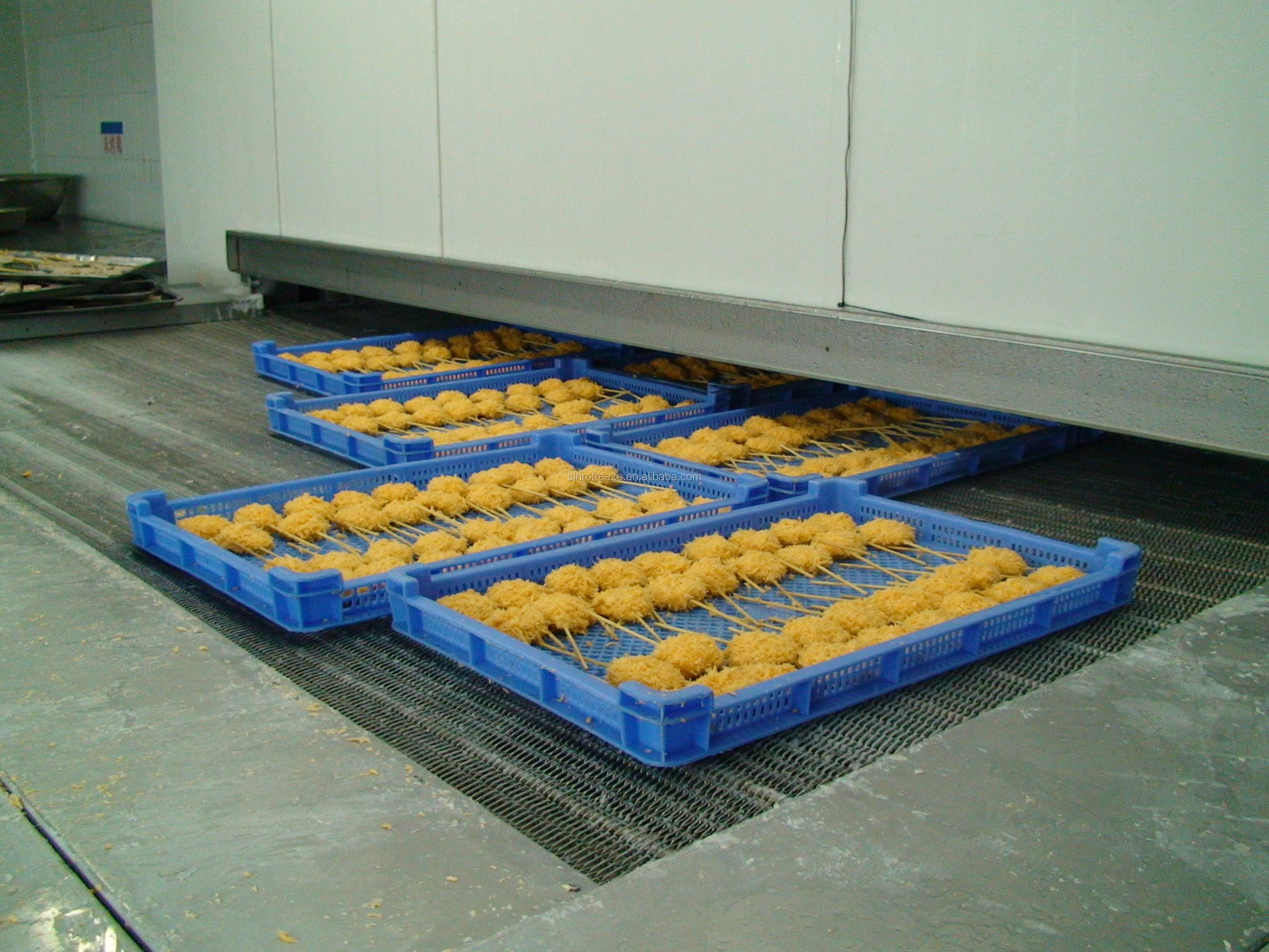 Туннельная морозильная камера IQF/замораживание блоков