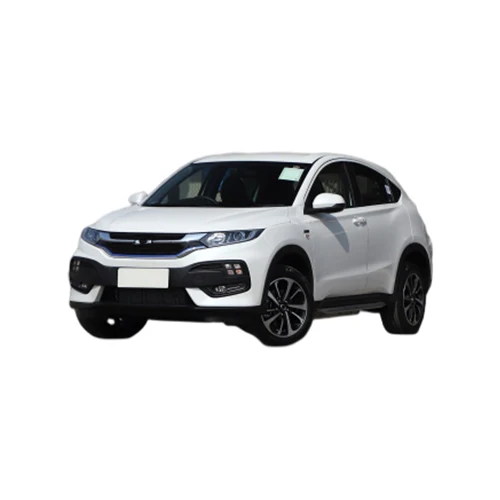 X-NV  M-NV High-Speed City Use 5 Seats 4 Door Small Size Electric SUV