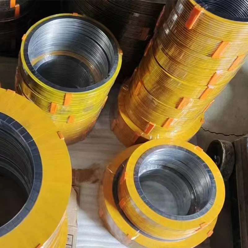 Ss316 Inner and Outer Ring Graphite Filled Metal Spiral Wound Gasket O Ring Metal Industrial Seal Metallic Carbon Steel Gasket