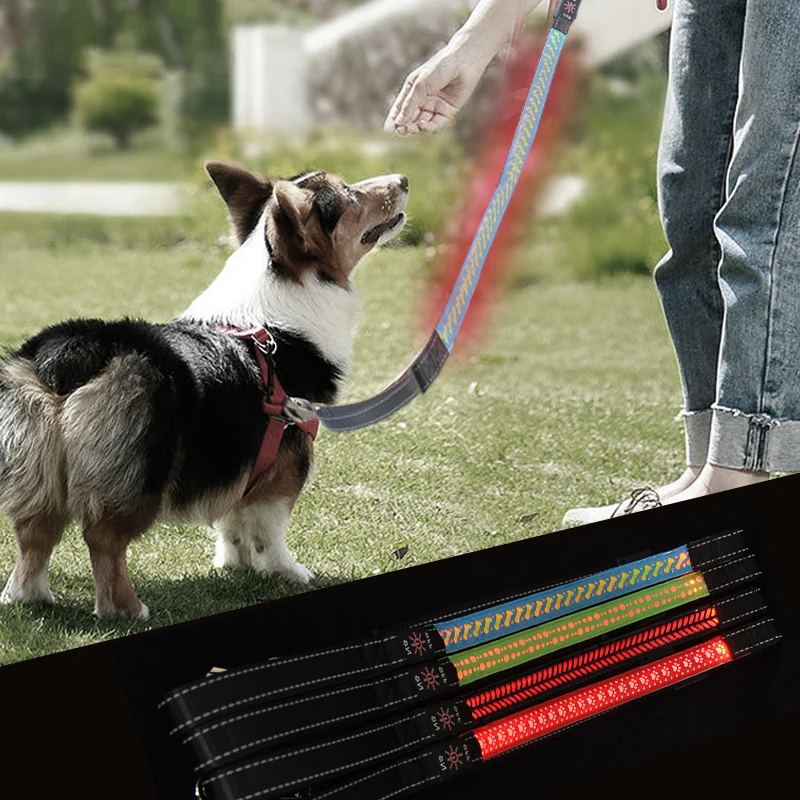 Top Seller Led Dog Leash Usb Glowing In Dark Led Dog Leash Dog Choke Collars Night Light Pet Collar