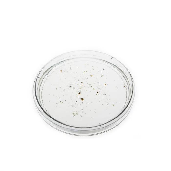 GPD0515-052 laboratory equipment Transparent Petri Dishes