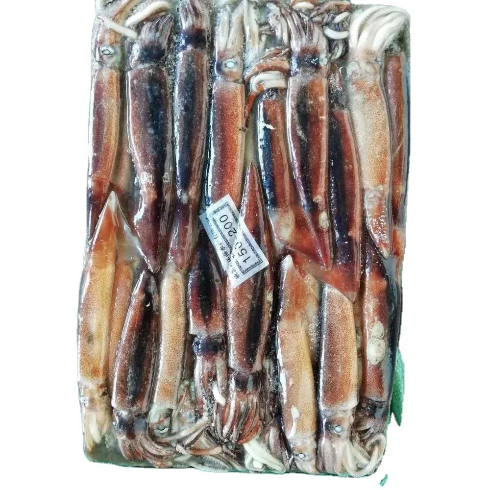 2022 New Arrivals Frozen Squid Whole Round Cumi Squid Fresh 100g BQF Illex Squid For Thailand Market