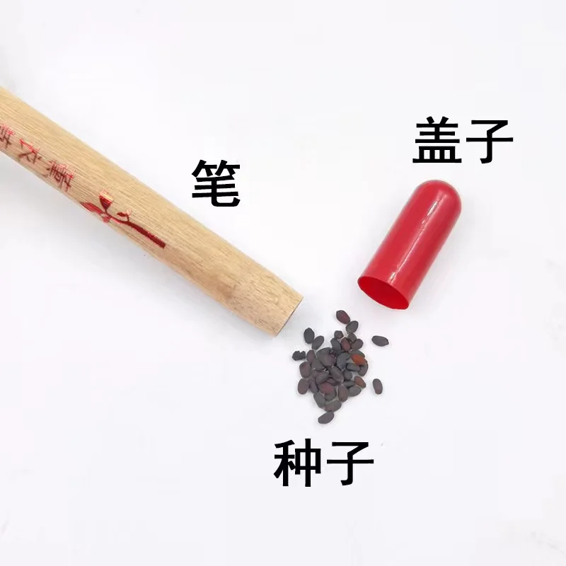 New Arrival Products Christmas Gift Custom Logo Pencil with Seed to Plant Wooden Seed Pencil