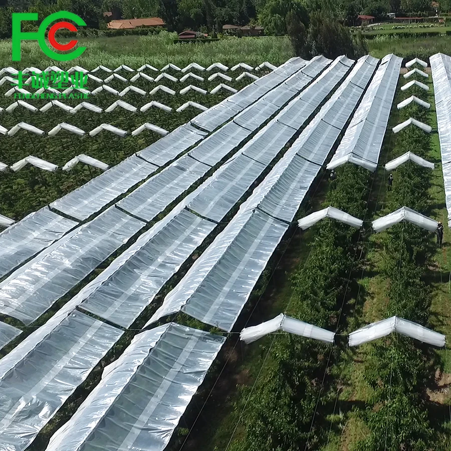 Supply quality plastic covers add UV polyethylene anti big rain/storm vine yard table cover vine grapes/plastic grape cover