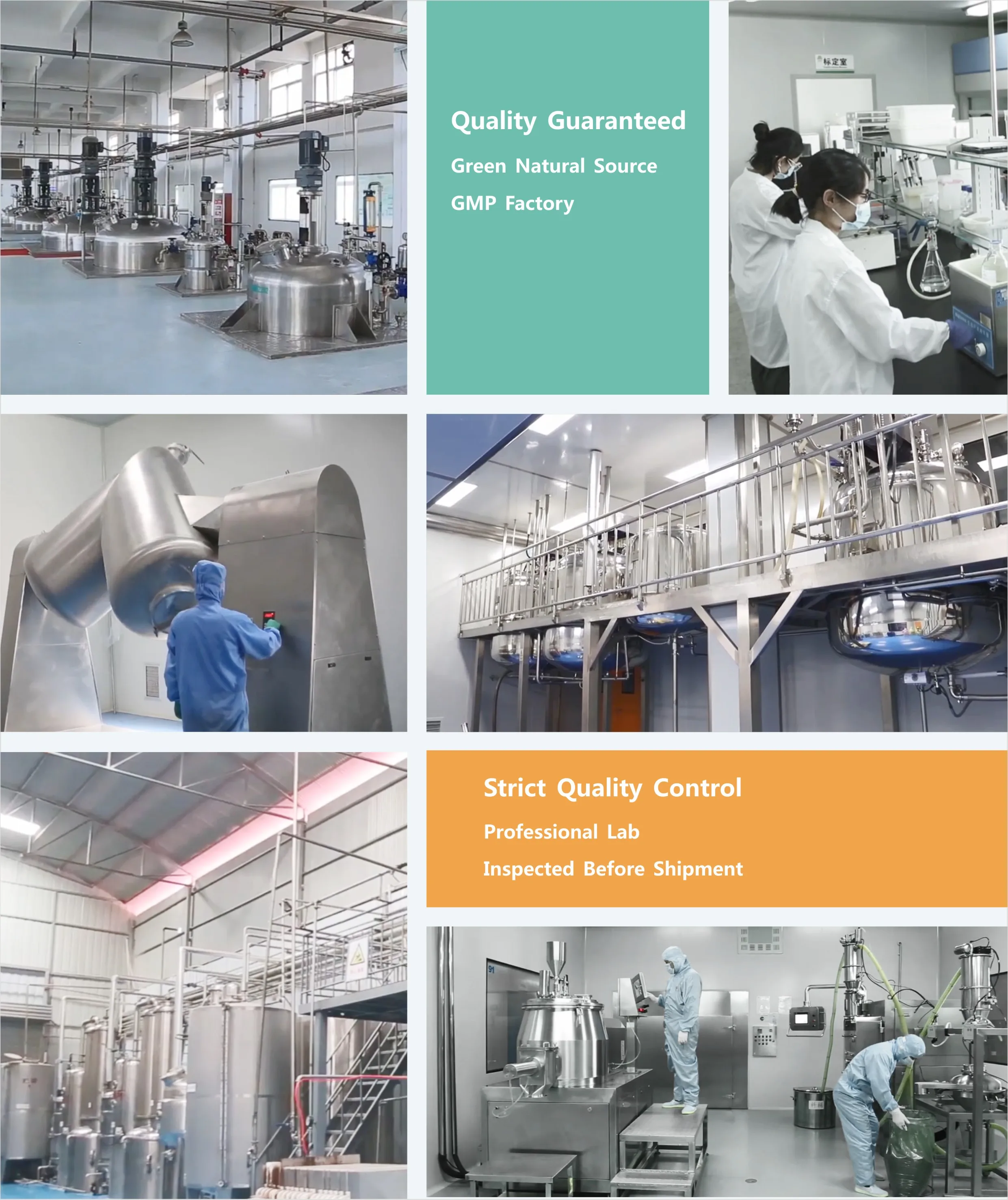 Factory Supply High Purity L Arginine 99% Arginine L-Arginine Powder