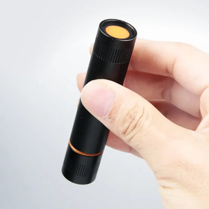 Black Filter AA Battery Powered Small 365nm UV Lights Portable Mini Black Light Flashlight Detector Ultraviolet Flashlight